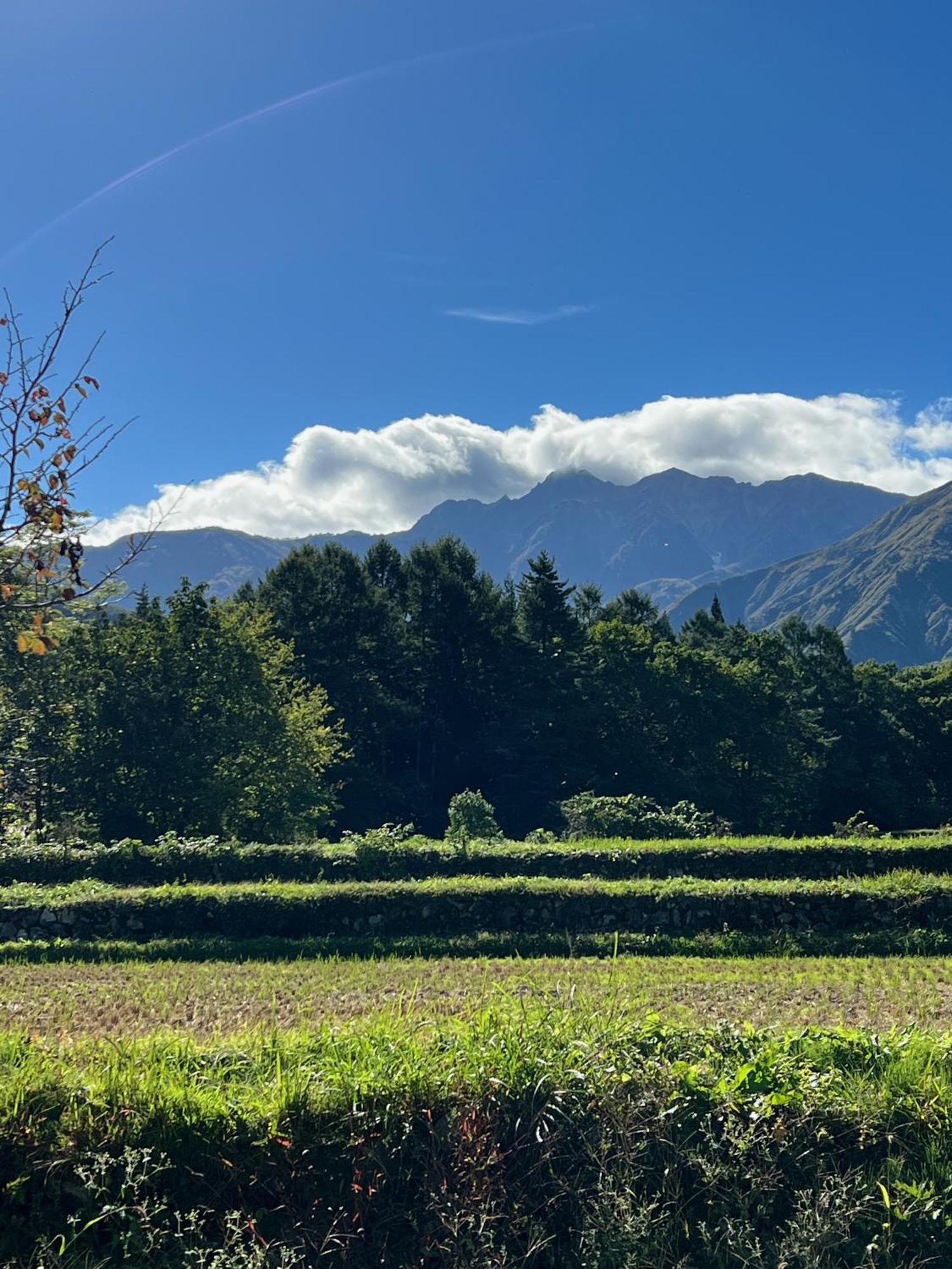 Heidihof Hotel Hakuba Eksteriør bilde